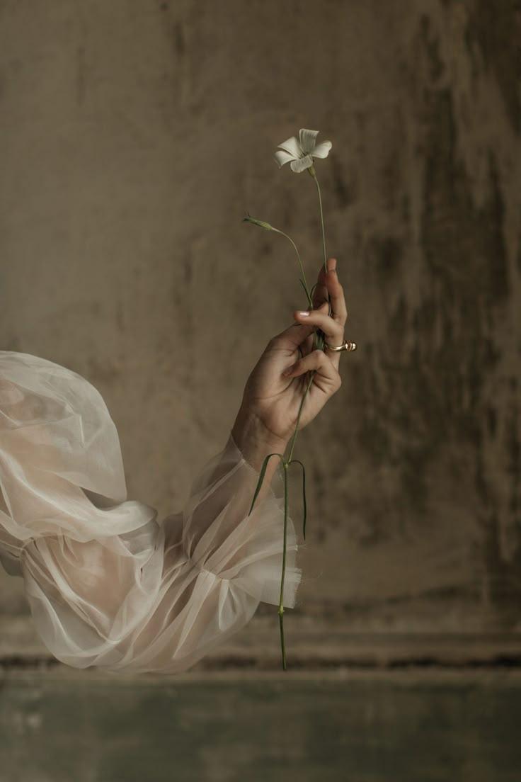 Corporate meeting room with carefully timed floral arrangements that maintain elegance throughout business hours